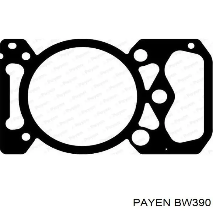 BW390 Payen