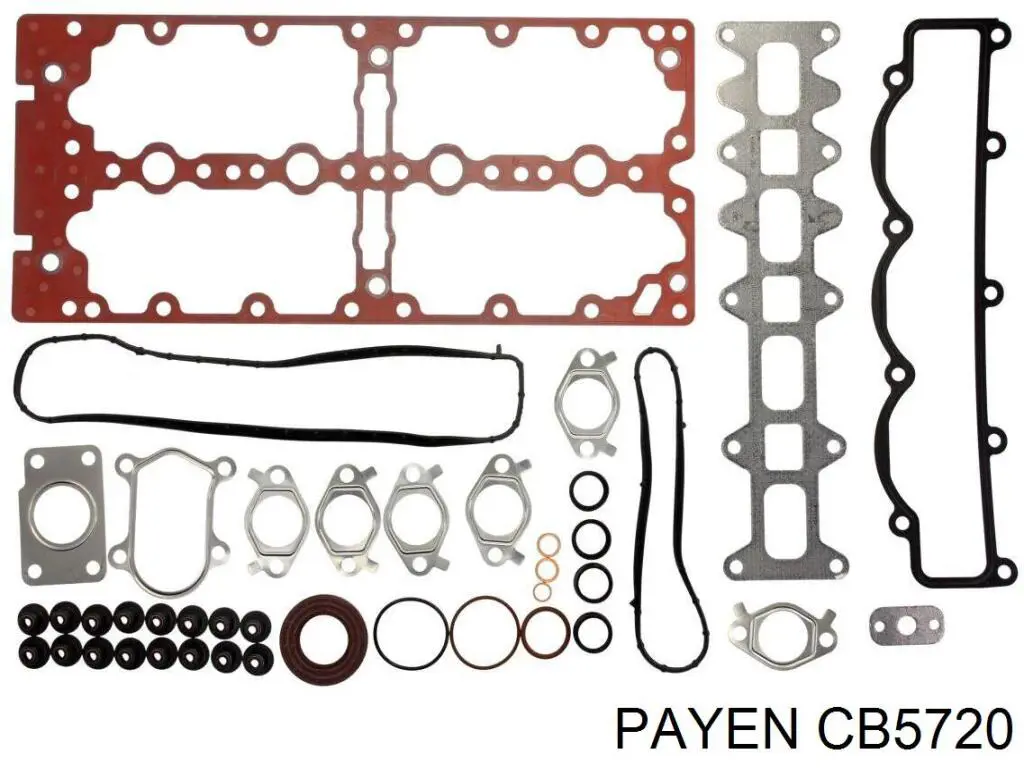 CB5720 Payen