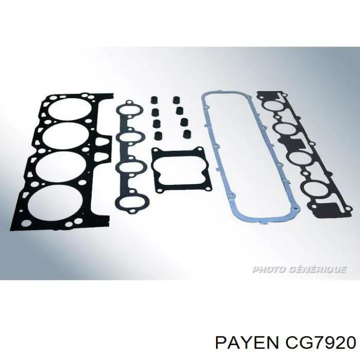  CG7920 Payen