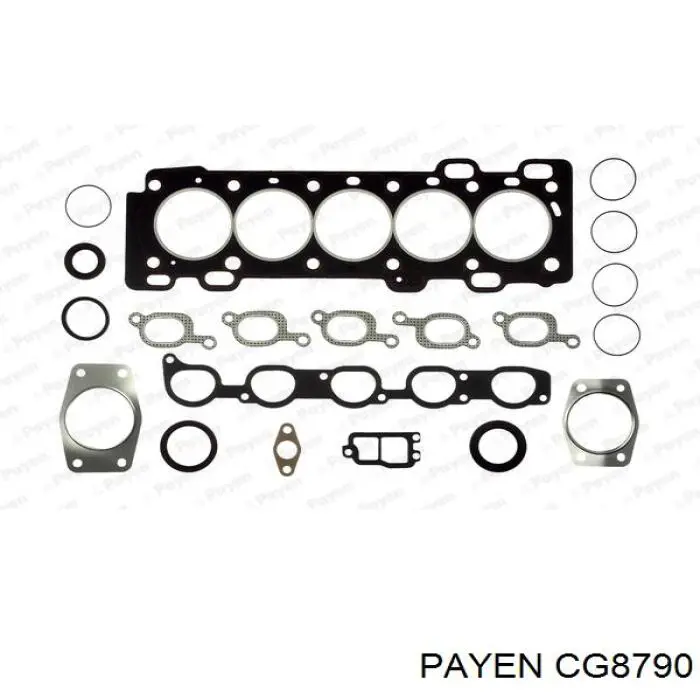 CG8790 Payen комплект прокладок двигателя верхний