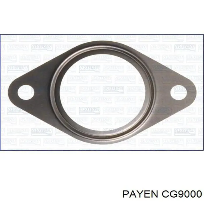 CG9000 Payen комплект прокладок двигателя верхний