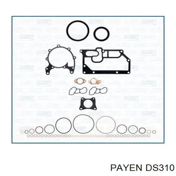 DS310 Payen комплект прокладок двигателя верхний