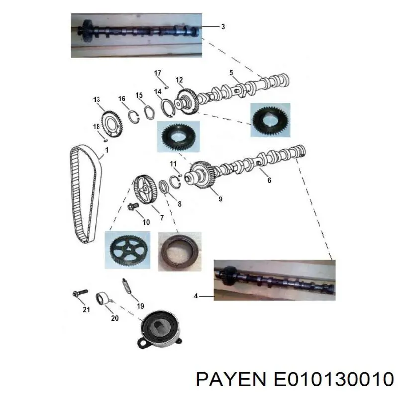 E010130010 Payen vedação da árvore distribuidora de motor