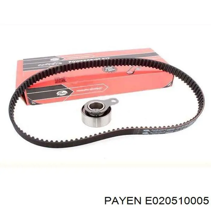 Сальник коленвала задний Payen E020510005 цена, от 2.17 USD