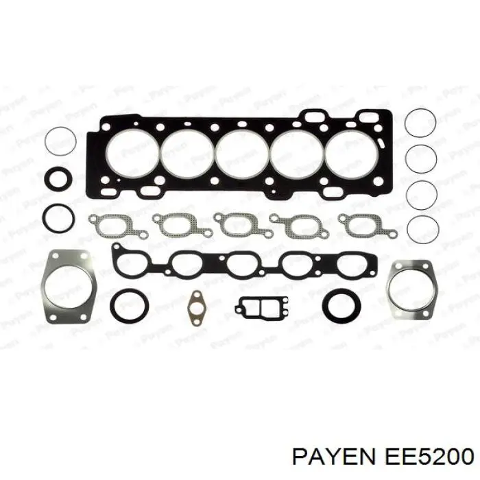 EE5200 Payen