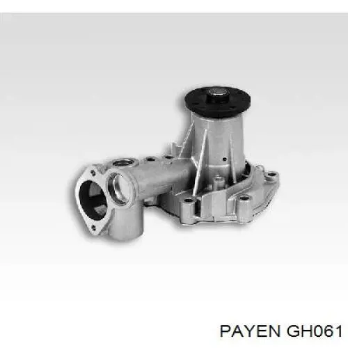 GH061 Payen комплект прокладок двигателя полный