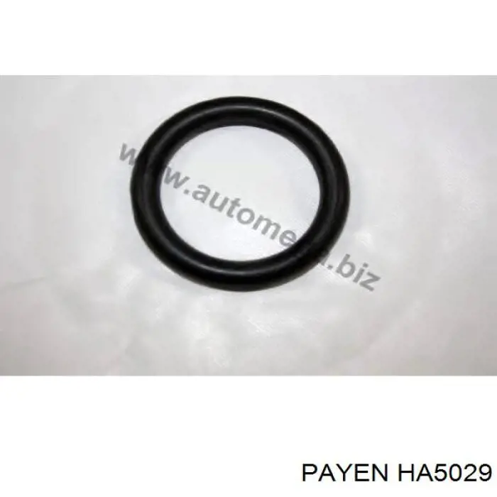 Прокладка всасывающего коллектора Payen HA5029 цена, от 2.97 USD