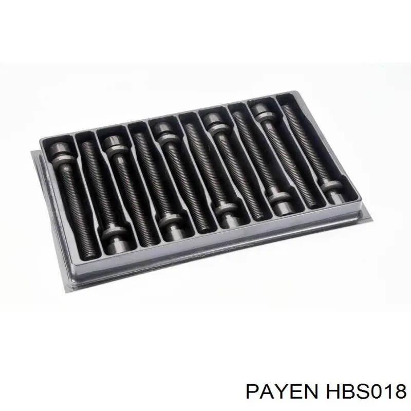 Болт головки блока цилиндров (ГБЦ) Payen HBS018
