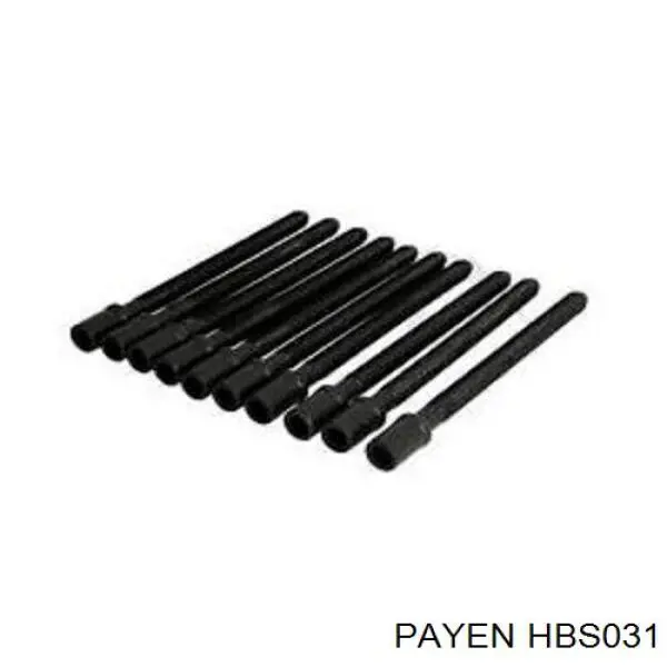 HBS031 Payen Болт крепления головки блока цилиндров