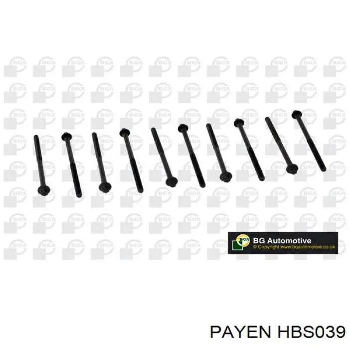 Болт головки блока цилиндров (ГБЦ) Payen HBS039