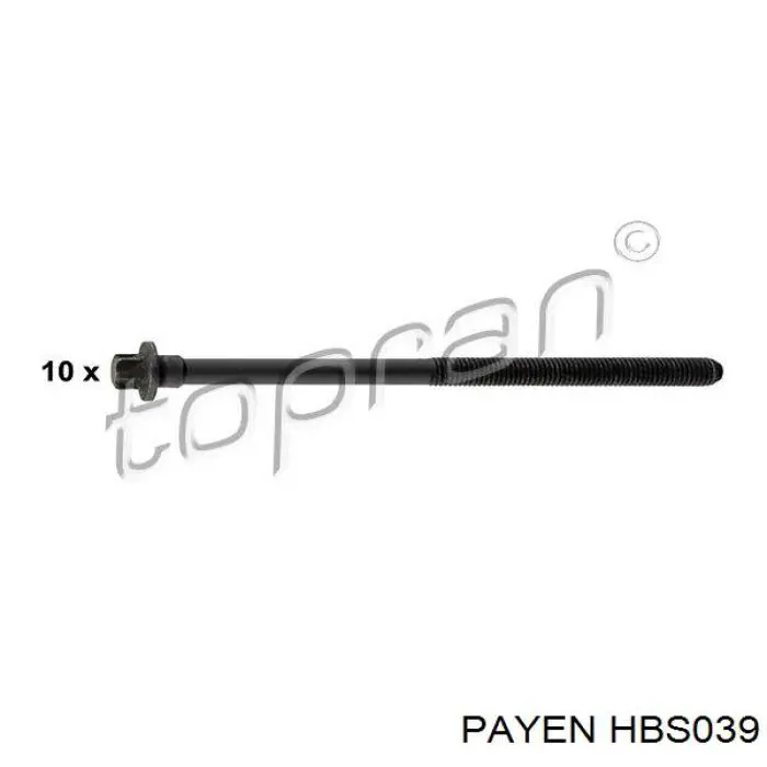 Купить HBS039 Payen Болт ГБЦ