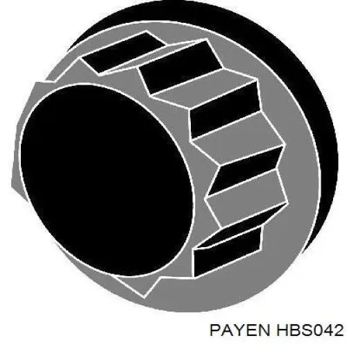 Купить HBS042 Payen Болт ГБЦ