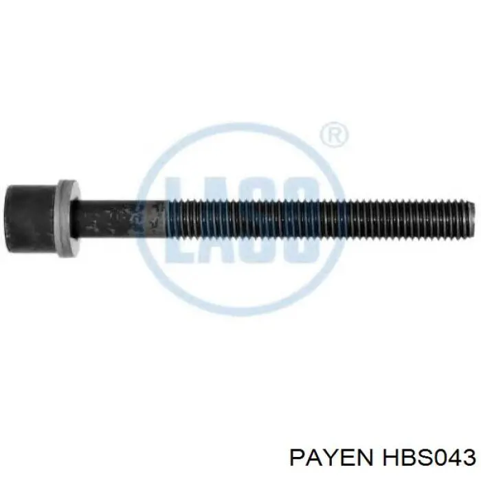 Купить HBS043 Payen Болт ГБЦ