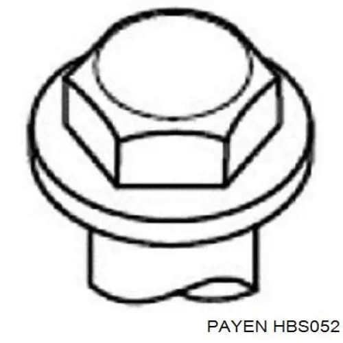 Болт ГБЦ HBS052 Payen