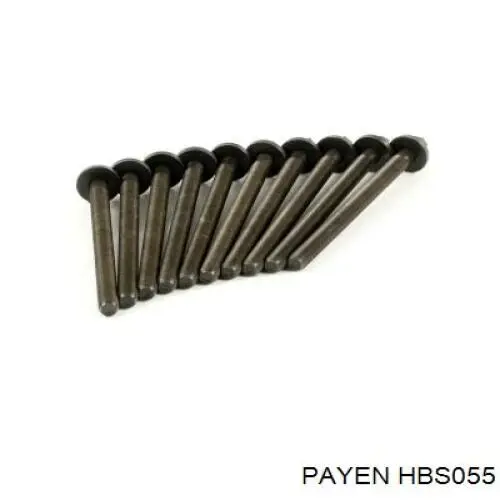 HBS055 Payen Болт крепления головки блока цилиндров