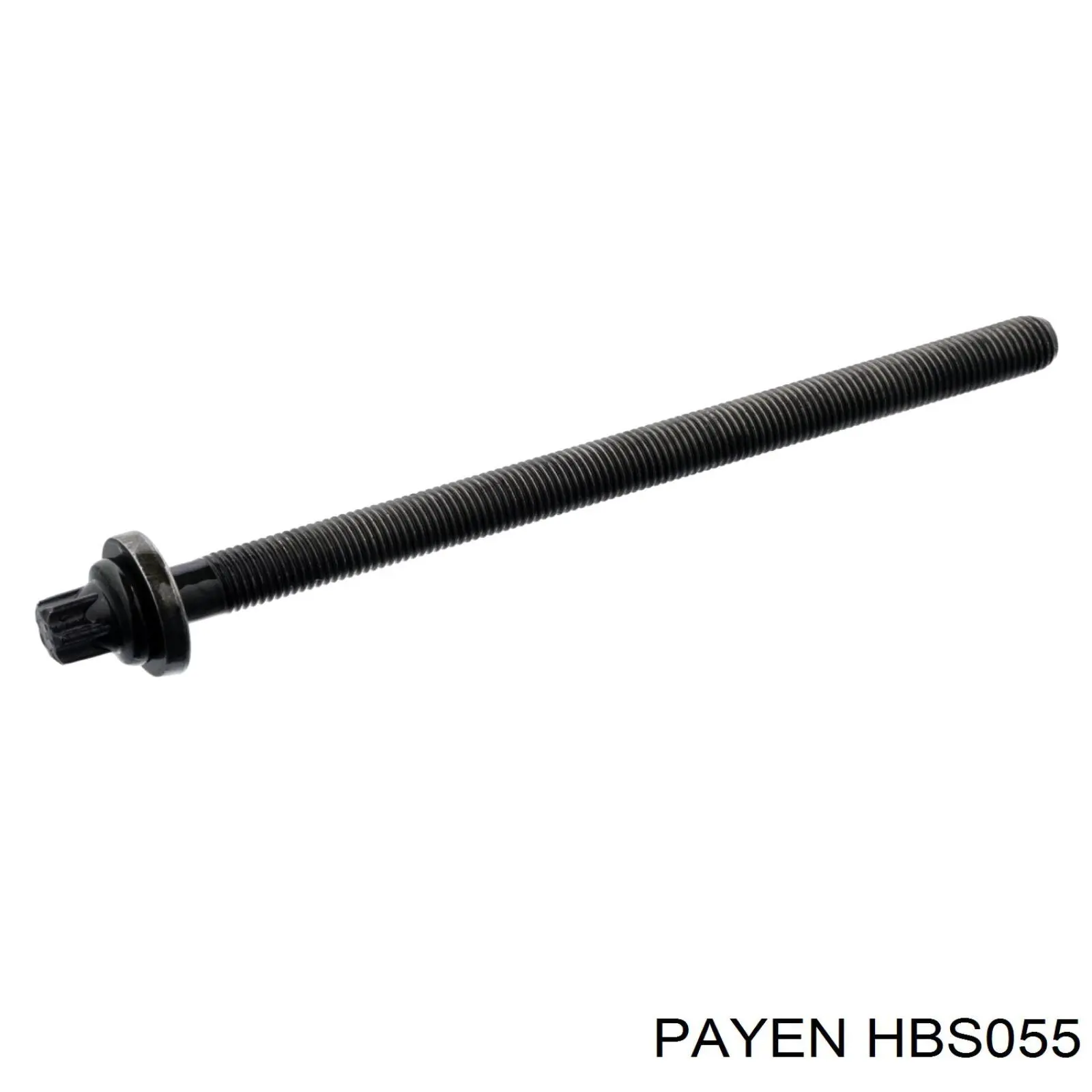 Болт головки блока цилиндров (ГБЦ) Payen HBS055