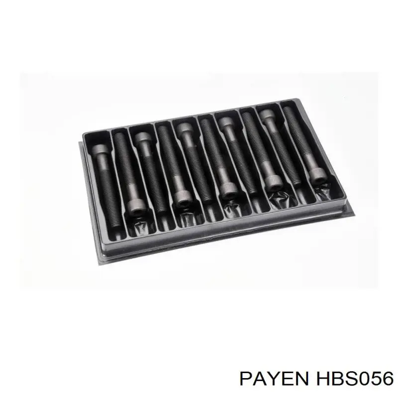 Болт ГБЦ HBS056 Payen