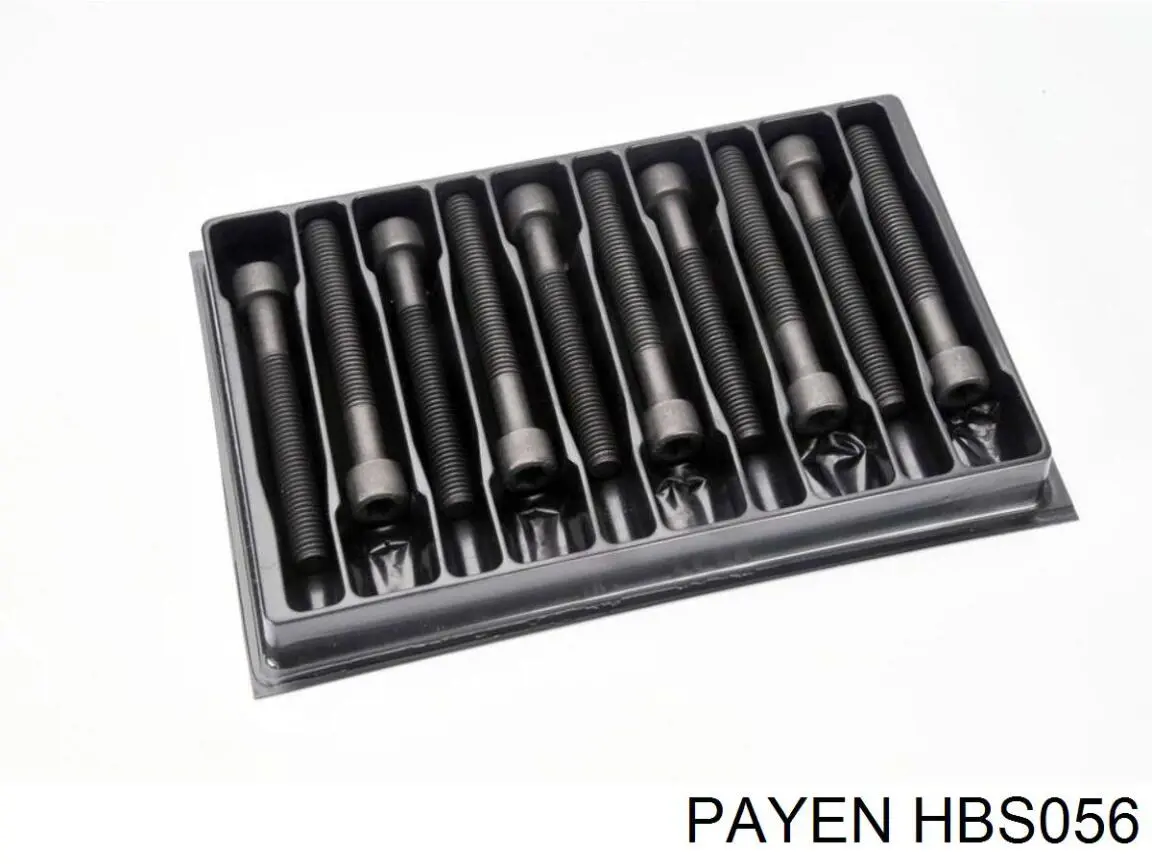 Болт головки блока цилиндров (ГБЦ) Payen HBS056