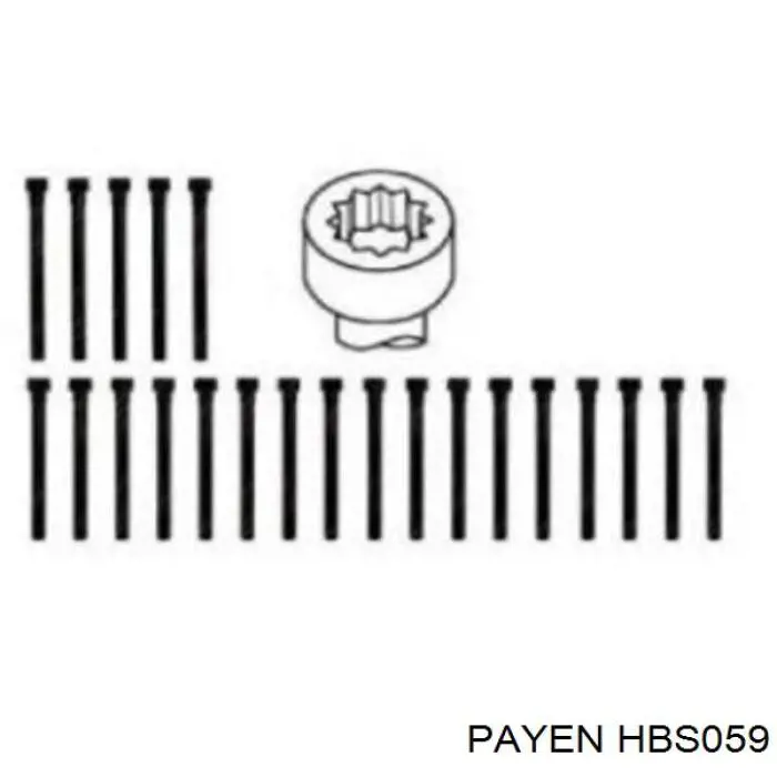 Купить HBS059 Payen Болт ГБЦ