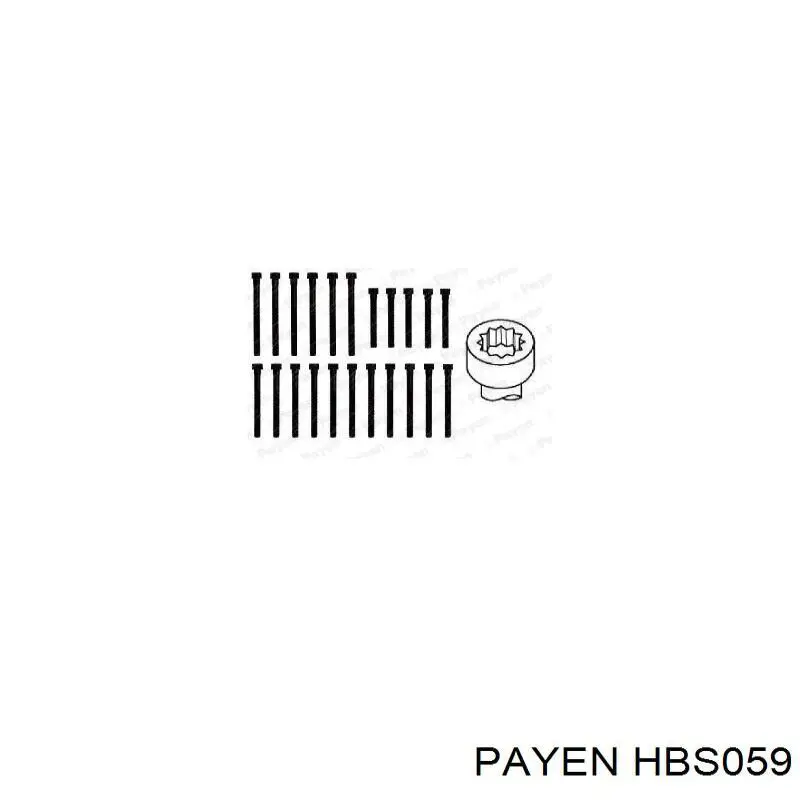 Болт головки блока цилиндров (ГБЦ) Payen HBS059