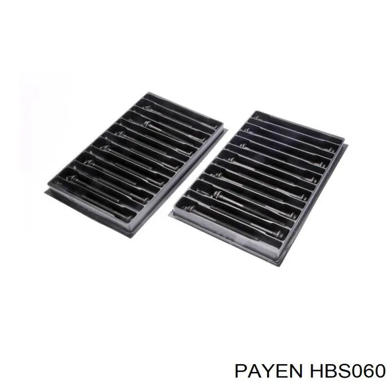 HBS060 Payen Болт крепления головки блока цилиндров