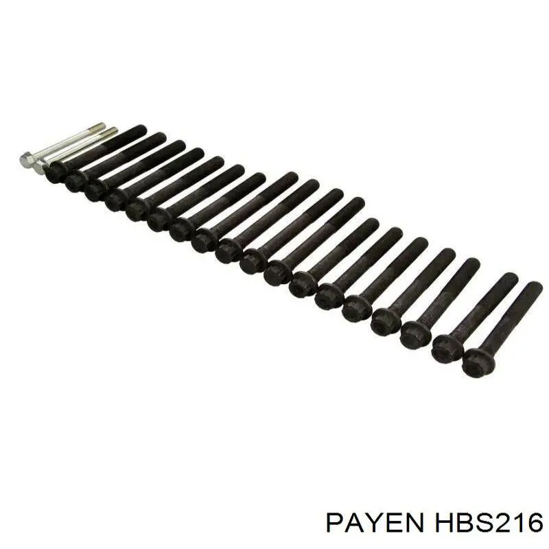 Болт ГБЦ HBS216 Payen