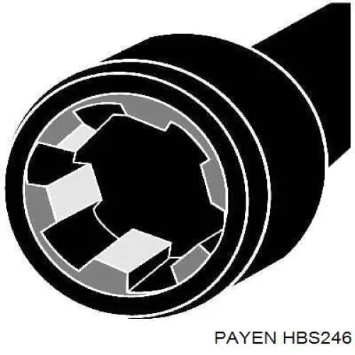 Болт головки блока цилиндров (ГБЦ) Payen HBS246