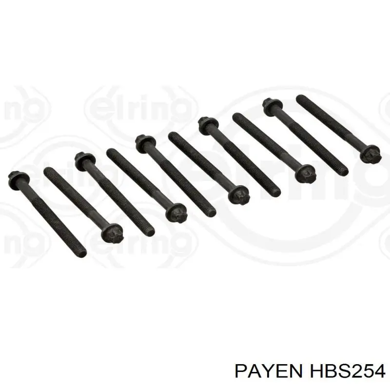 Болт ГБЦ HBS254 Payen