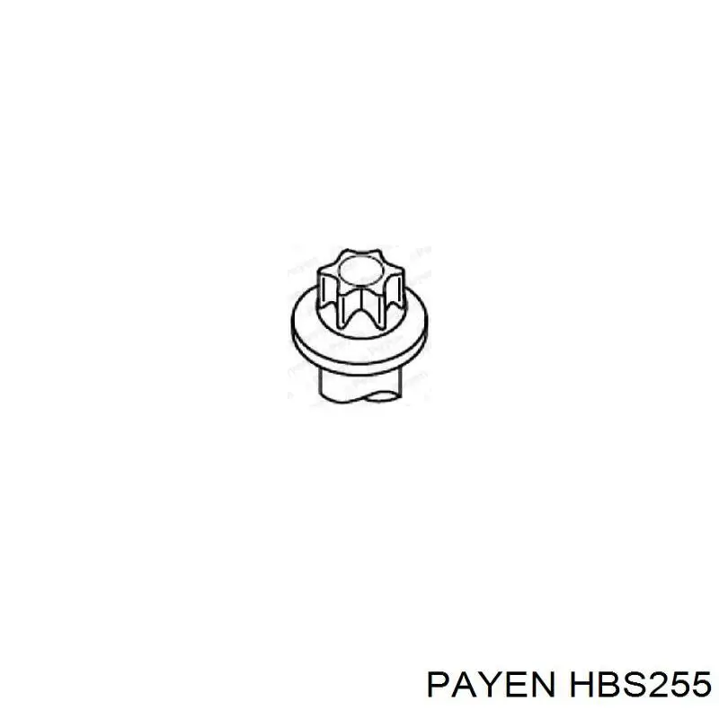 Болт ГБЦ HBS255 Payen