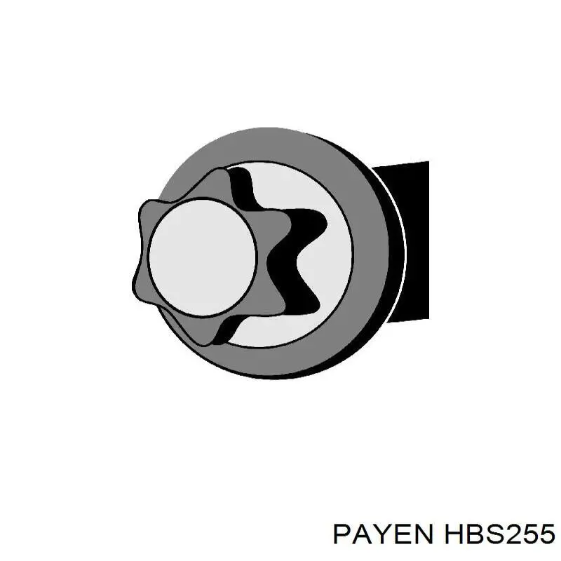 HBS255 Payen Болт крепления головки блока цилиндров