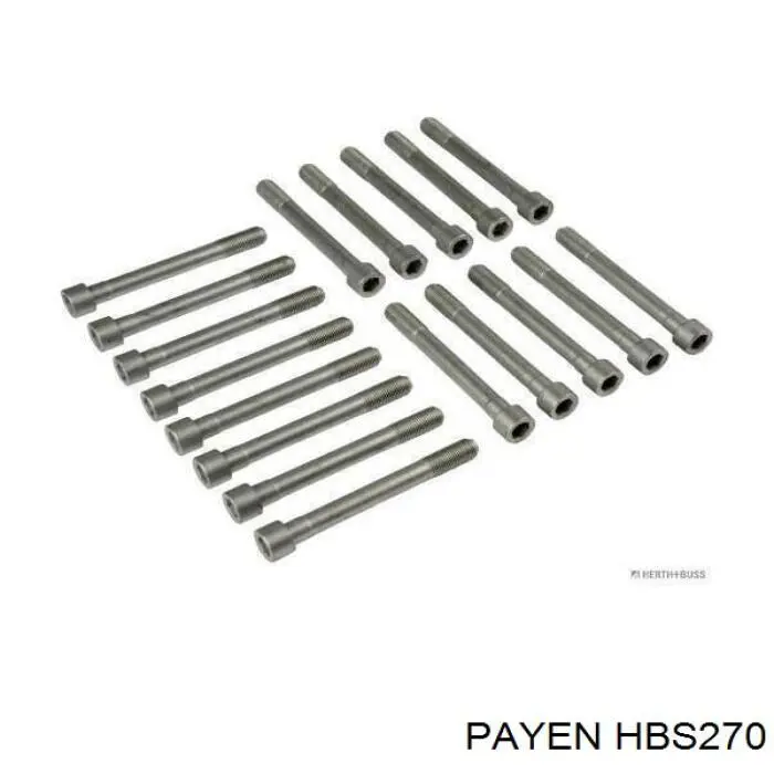 Болт ГБЦ HBS270 Payen