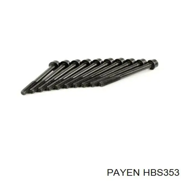 Болт головки блока цилиндров, ГБЦ Payen HBS353 цена, от 20.44 USD