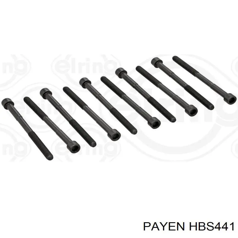 Болт ГБЦ HBS441 Payen