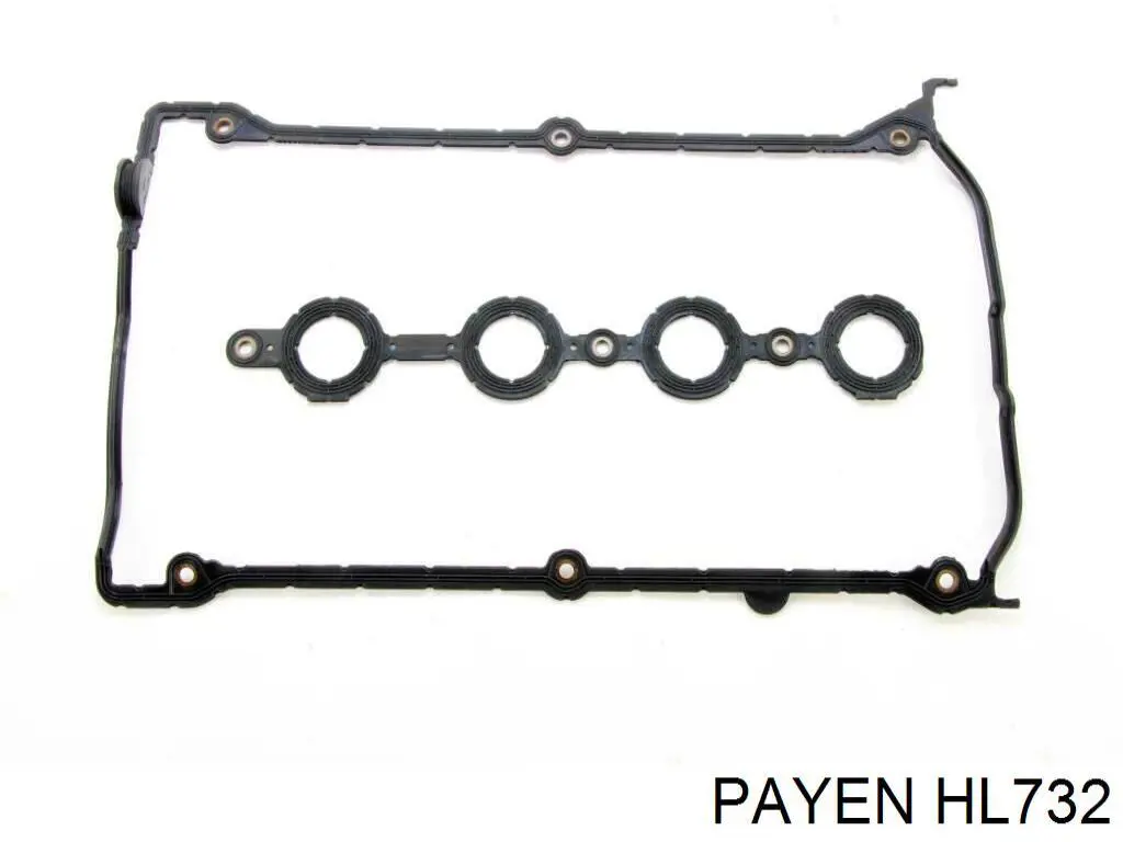 HL732 Payen