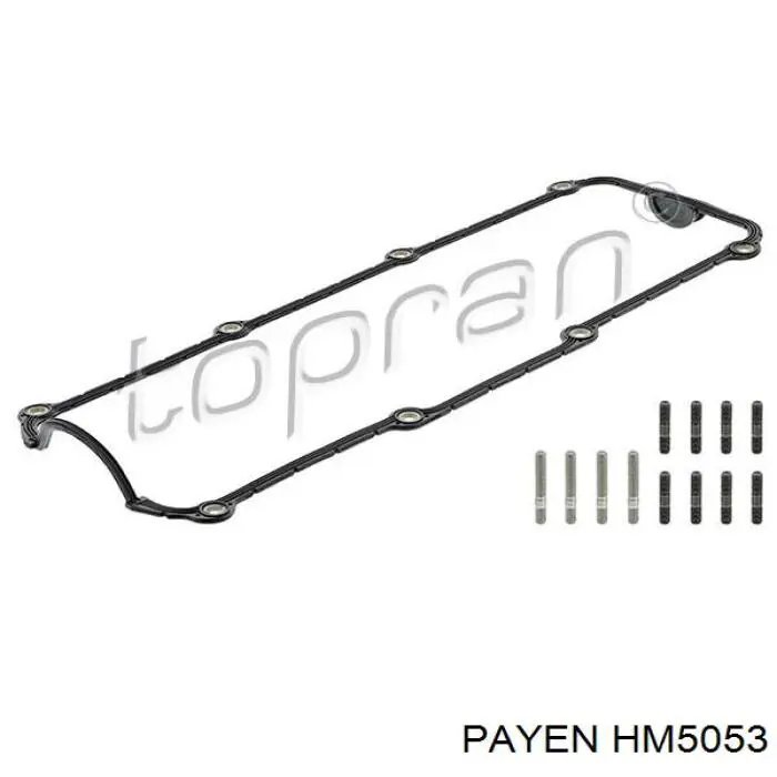 HM5053 Payen прокладка клапанной крышки двигателя, комплект