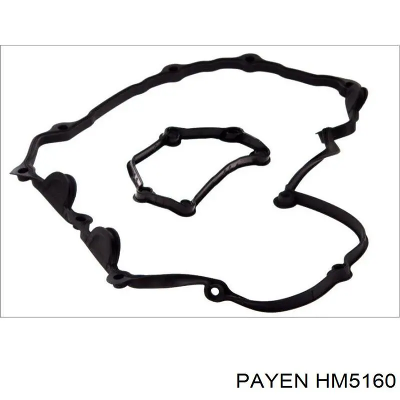 HM5160 Payen прокладка клапанной крышки двигателя, комплект