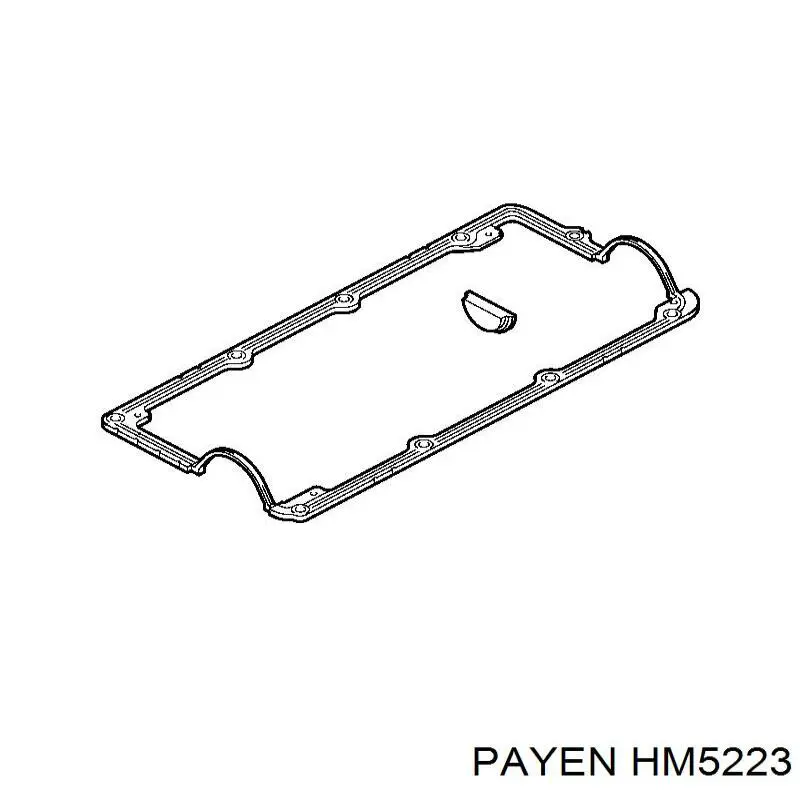 Купить HM5223 Payen Прокладка клапанной крышки двигателя