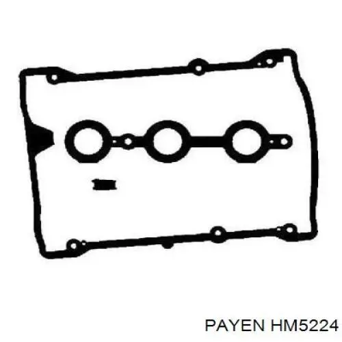 Прокладка клапанной крышки двигателя, комплект Payen HM5224 цена, от 19.72 USD