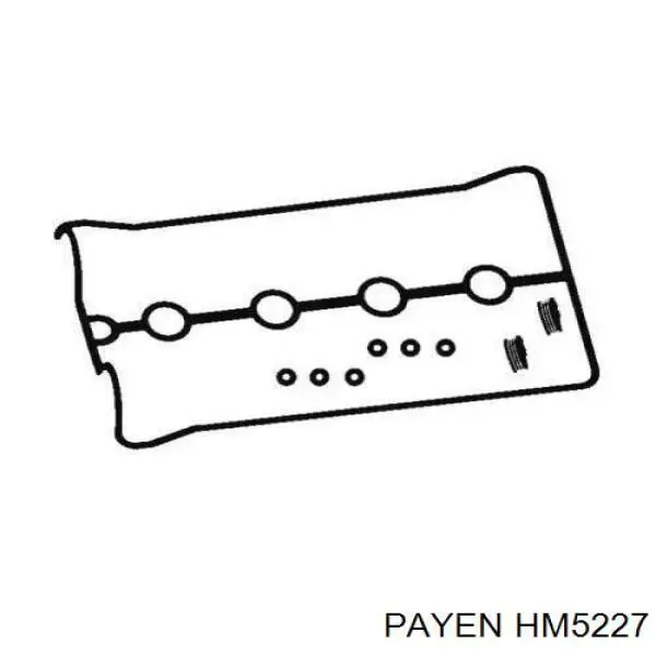 HM5227 Payen прокладка клапанной крышки двигателя, комплект