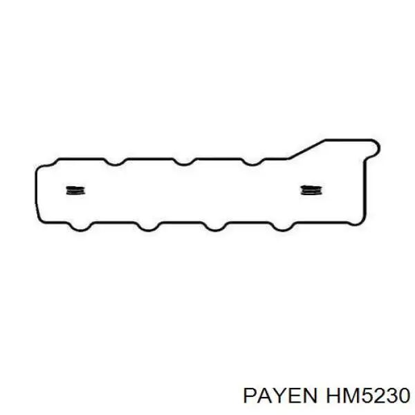 HM5230 Payen Прокладка крышки двигателя комплект