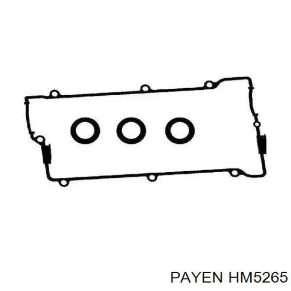HM5265 Payen прокладка клапанной крышки двигателя, комплект