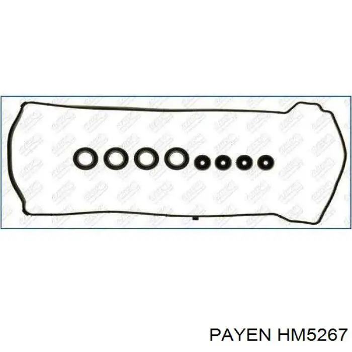 HM5267 Payen Прокладка крышки клапана