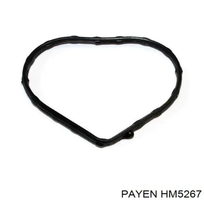 Купить HM5267 Payen Прокладка клапанной крышки двигателя