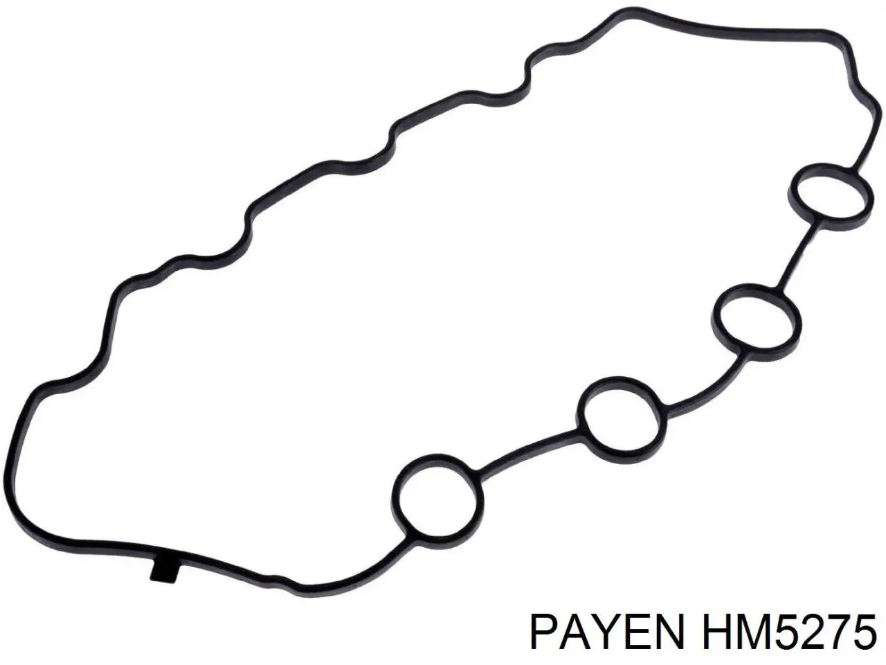 HM5275 Payen прокладка клапанной крышки двигателя, комплект