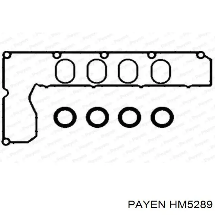 HM5289 Payen прокладка клапанной крышки