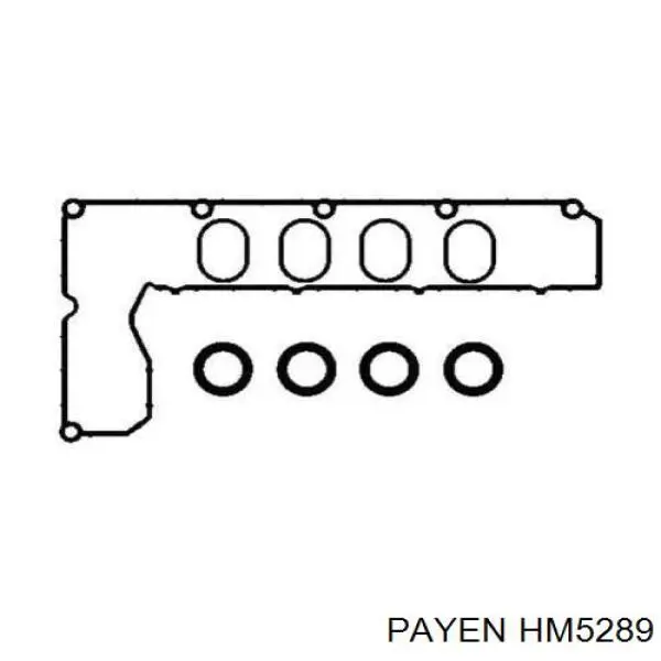 Прокладка клапанной крышки двигателя, комплект Payen HM5289 цена, от 31.82 USD