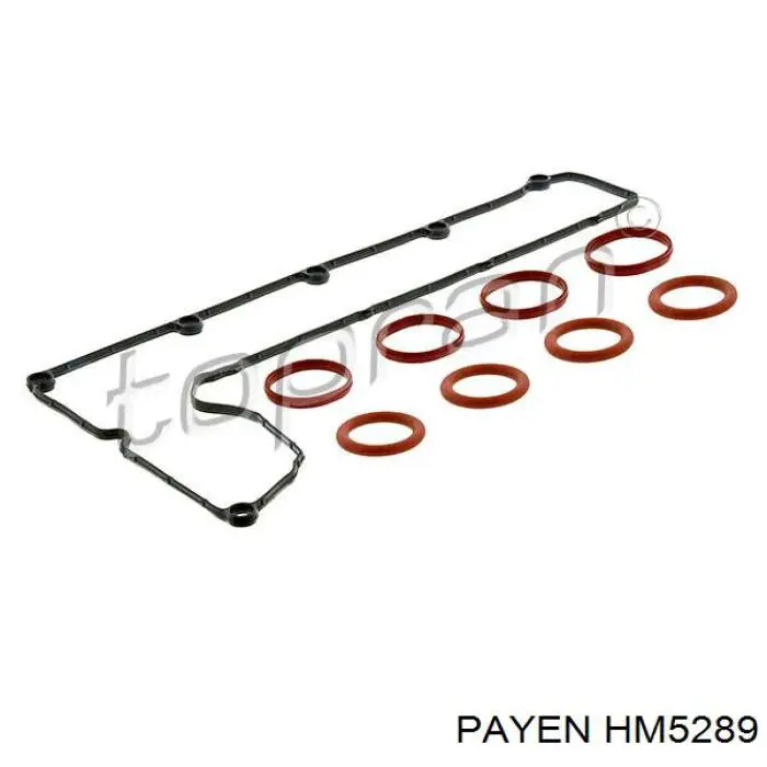 Купить HM5289 Payen Комплект прокладок крышки клапанов