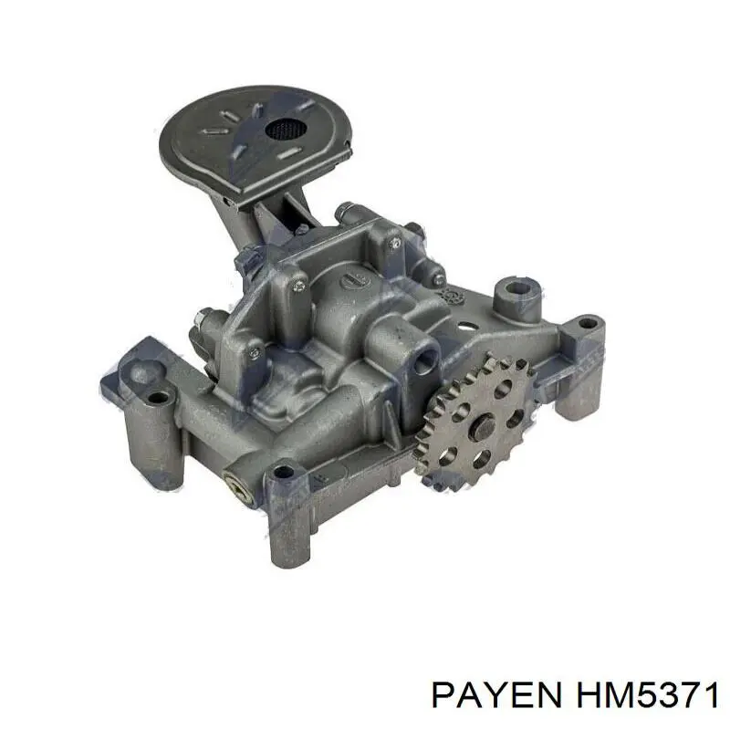 HM5371 Payen прокладка клапанной крышки двигателя, комплект