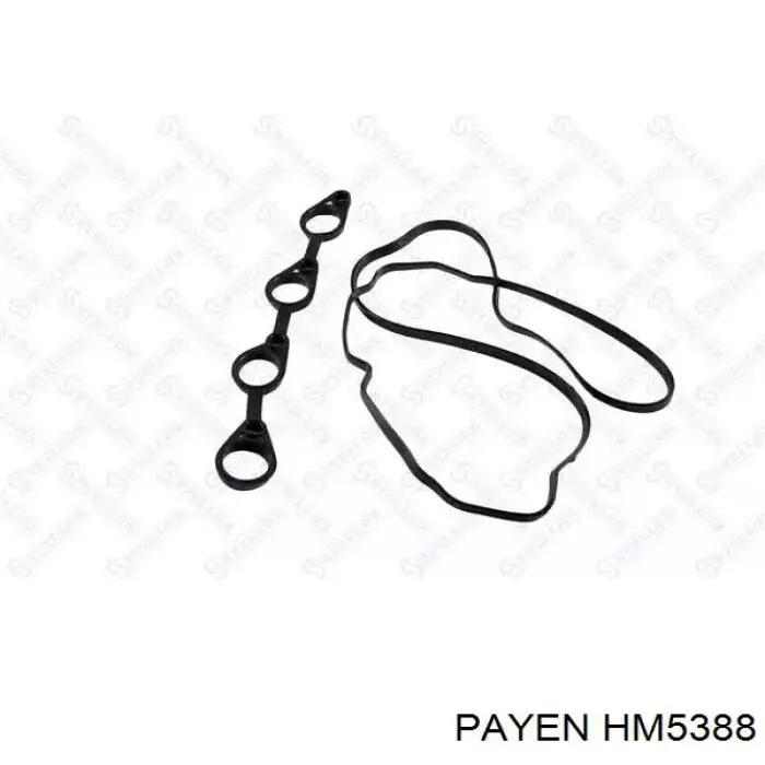 Прокладка клапанной крышки двигателя, комплект Payen HM5388 цена, от 11.71 USD