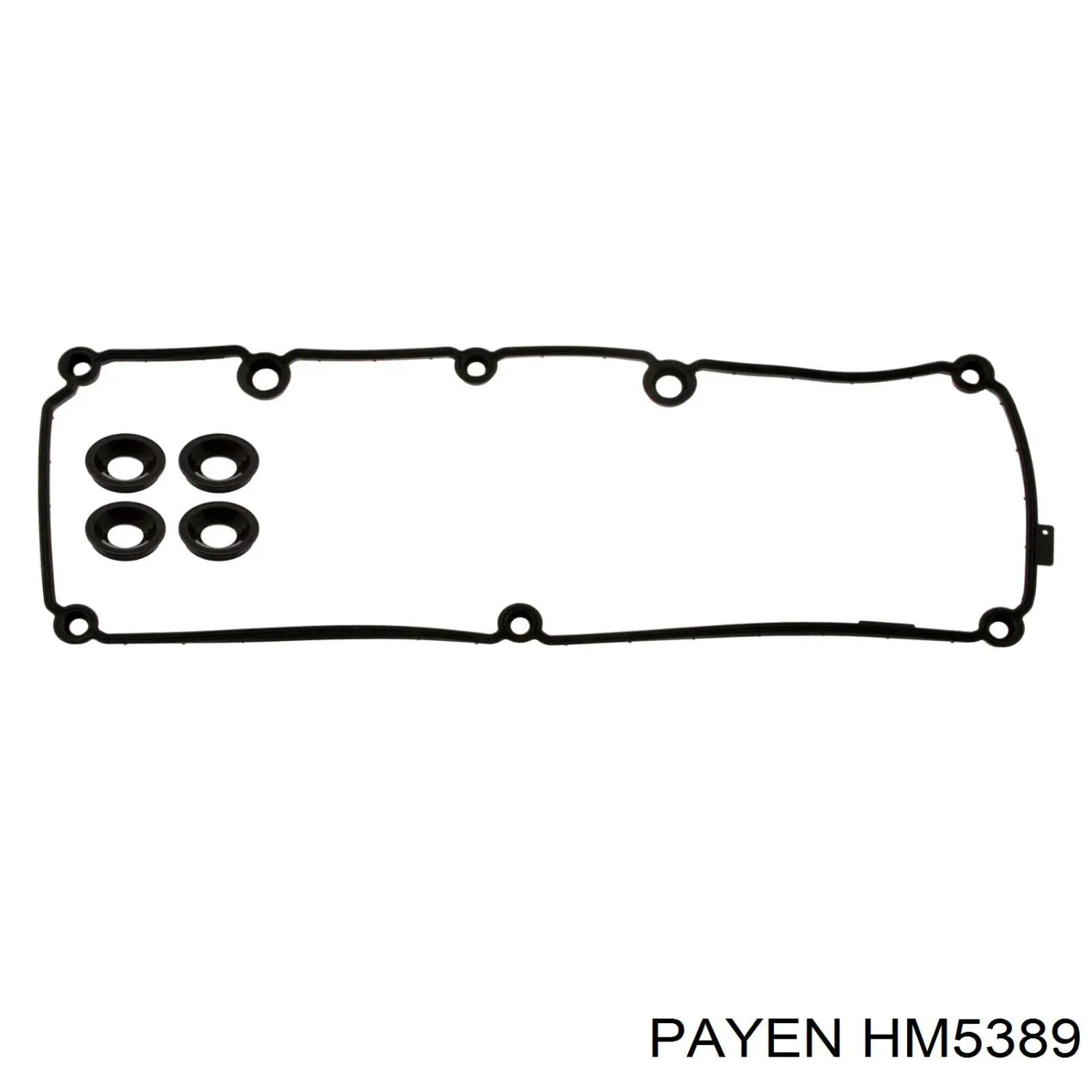 HM5389 Payen